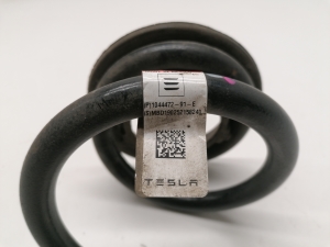 Tesla Model 3 3 (2016–2024) Rear spring 1044472-91-E - 2