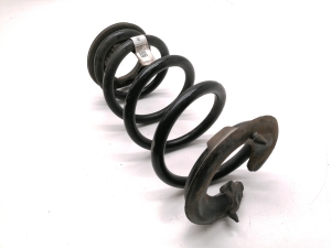 Tesla Model 3 3 (2016–2024) Rear spring 1044472-91-E - 3