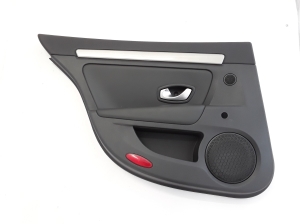 Rear side door panel - 829A11848R
