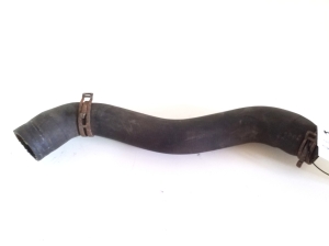 Radiator hose