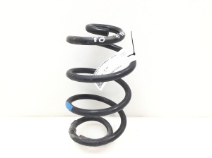 Rear spring
