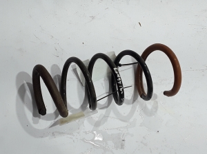 Dacia Lodgy (2012–2026) Front spring - 2