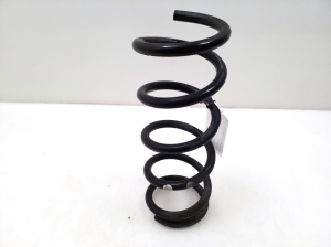 Rear spring