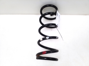 Rear spring
