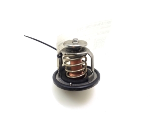   Thermostat  - 9091603144 