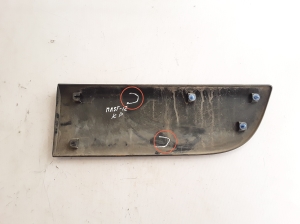 RENAULT Master III (2010–2017) Esiukse liist 808210166R - 2