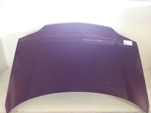 NISSAN X-Trail T30 (2001–2007) Motorhaube und ihre Teile - 2