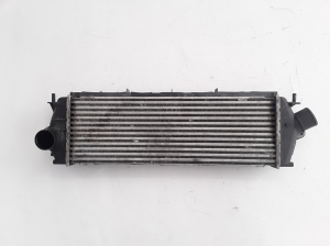 Vahejahuti radiaator - 8200411160