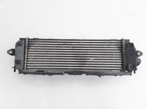 RENAULT Trafic II (2001–2014) Vahejahuti radiaator 8200411160 - 2