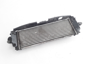 RENAULT Trafic II (2001–2014) Vahejahuti radiaator 8200411160 - 3