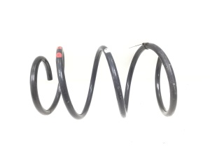 NISSAN Murano Z50 (2003–2017) Front spring - 2