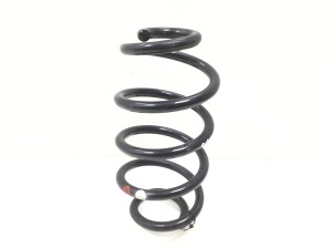 Rear spring - 