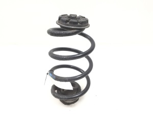 Rear spring