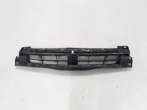   Halter Kühlergrill  - 620300101R 