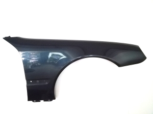 Front fender - A2158800218