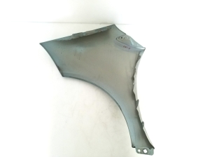 Mercedes Benz A-Class 169 (2004–2012) Front fender A1698810201 - 3