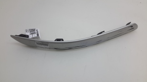   Front bumper trim strip 