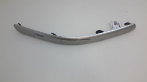  Front bumper trim strip 