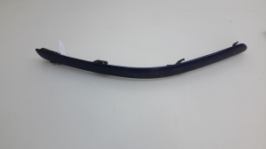   Front bumper trim strip 