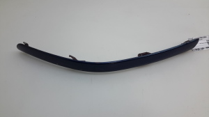   Front bumper trim strip 