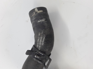 Dacia Lodgy (2012–2026) Jahutusradiaatori voolik 924001545 - 3