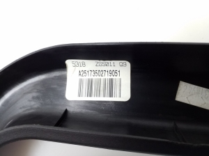 Mercedes Benz R-Class 251 (2006–2017) Sonstiges Teil der hinteren Seitentür A25173502719051 - 4