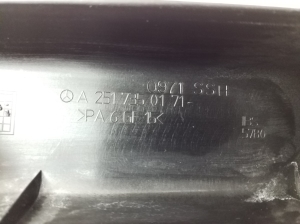 Mercedes Benz R-Class 251 (2006–2017) Sonstiges Teil der hinteren Seitentür A25173501719051 - 3