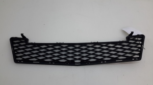 Mercedes Benz A-Class 169 (2004–2012) Front bumper lower grille A1698850224 - 2