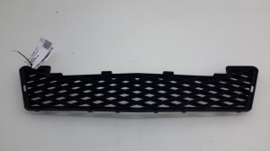 Front bumper lower grille - A1698850224
