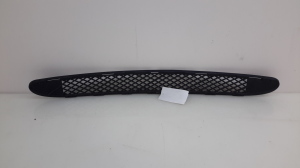  Front bumper lower grille 