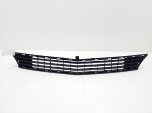   Front bumper lower grille 