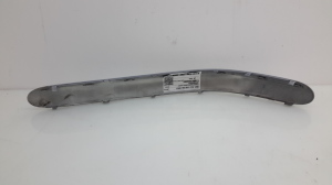  Front bumper trim strip 