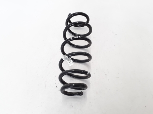   Front spring 