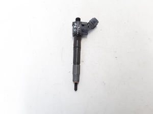   Fuel injector 