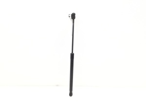 Heckklappendämpfer - 244638290512