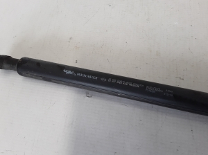 RENAULT Scenic (2009–2015) Heckklappendämpfer 904517337R - 2
