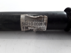 RENAULT Scenic (2009–2015) Stoßdämpfer hinten 562100028R - 2