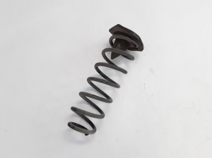 Rear spring - 550200035R