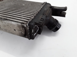 Dacia Lodgy (2012–2026) Vahejahuti radiaator 144966051R - 2