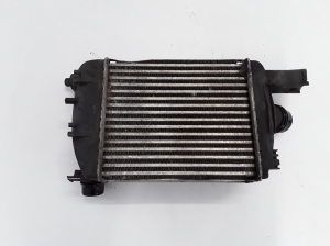 Dacia Lodgy (2012–2026) Vahejahuti radiaator 144966051R - 3