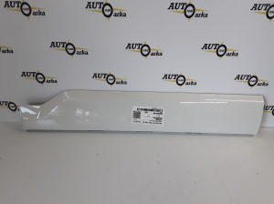 Rear side door molding - 31448430