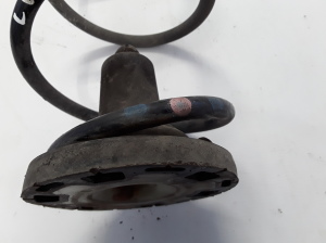 Dacia Lodgy (2012–2026) Rear spring 550204953R - 2