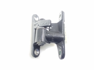  Rear side door hinge lower 