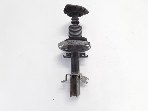 Stoßdämpfer vorne - 543020008R
