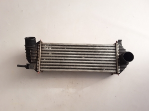 Vahejahuti radiaator - 8200427469
