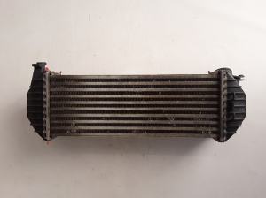 RENAULT Kangoo (2008–2020) Vahejahuti radiaator 8200427469 - 3
