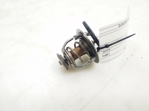 LEXUS IS (2005–2013) Termostaat 9091603125 - 2