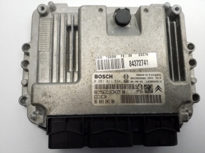 Engine control unit - 9660324180