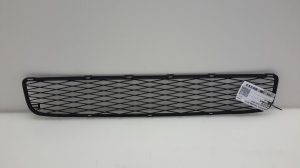   Front bumper lower grille 