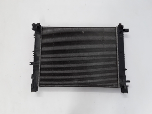 Dacia Dokker (2012–2017) Jahutusradiaator 214100078R - 3